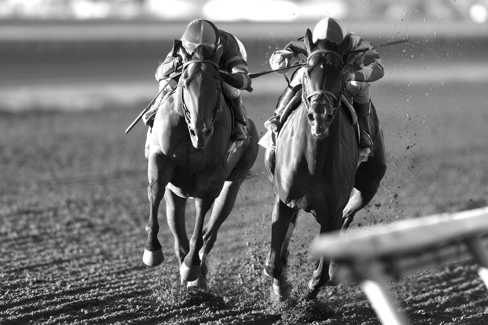 Two colts head-to-head at full drive in deep stretch — generated illustration in the press-photograph manner
