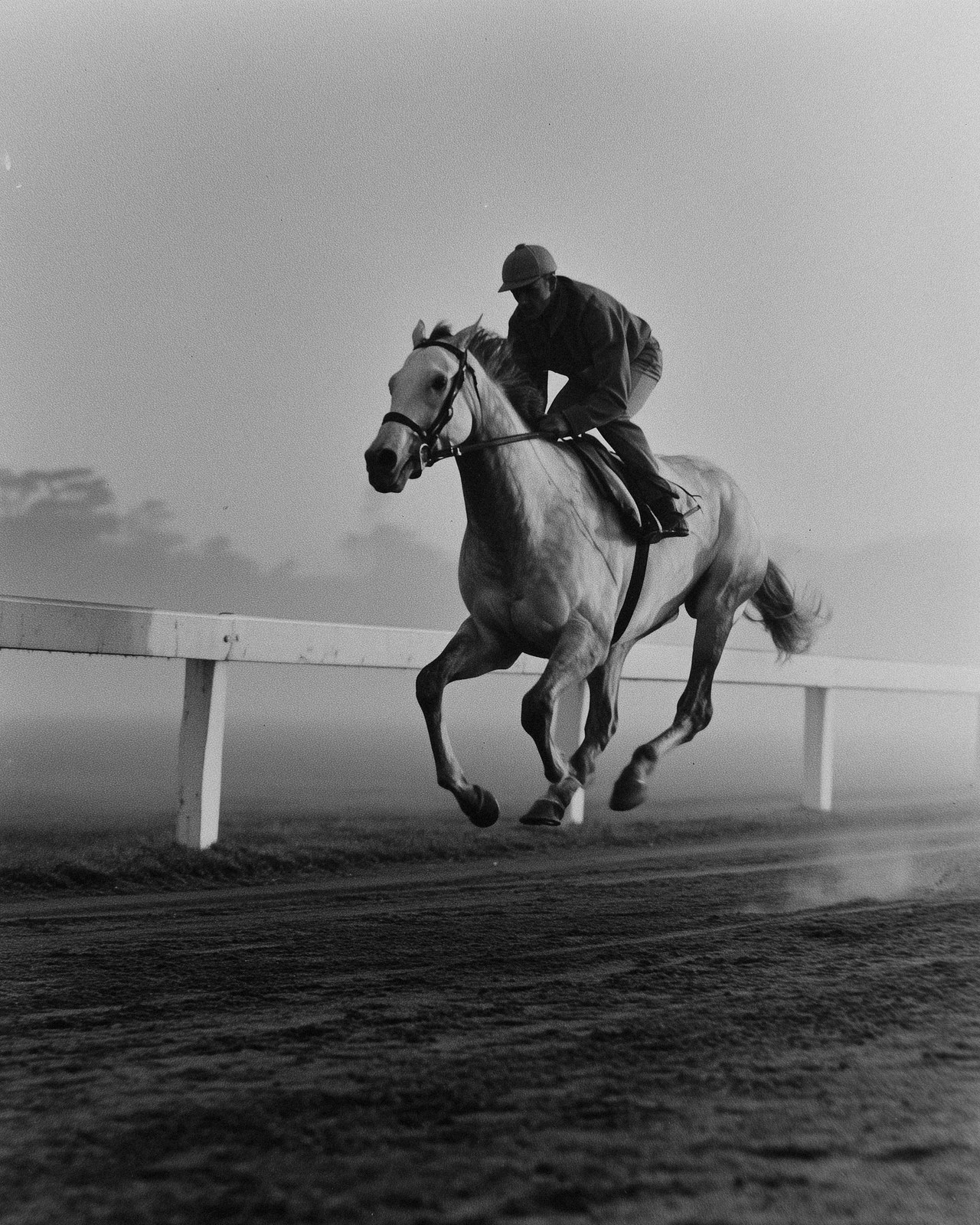 A grey colt at speed in morning work beside the running rail — generated illustration in the 1950s press-photograph manner